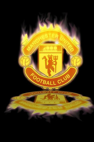 整体实力的 整体实力的